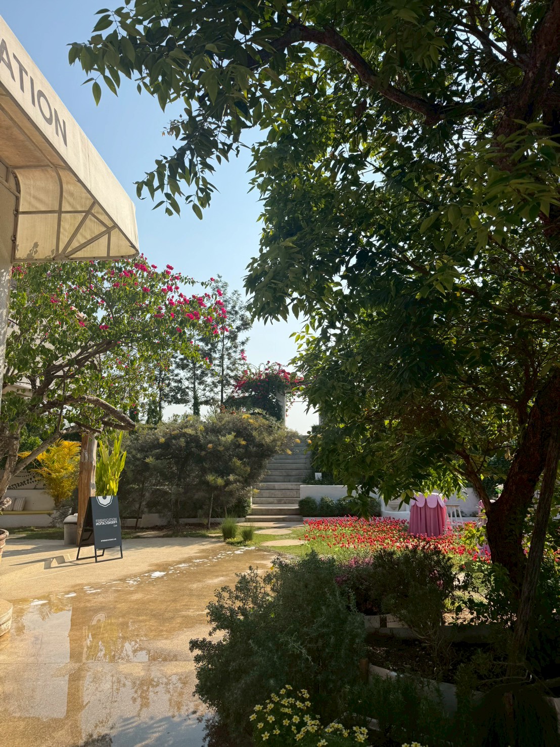 Garden and bougainvillea walkway