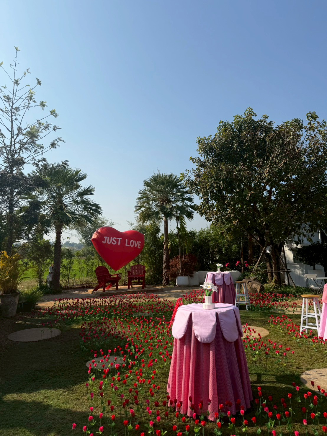 The Just Love tulip garden