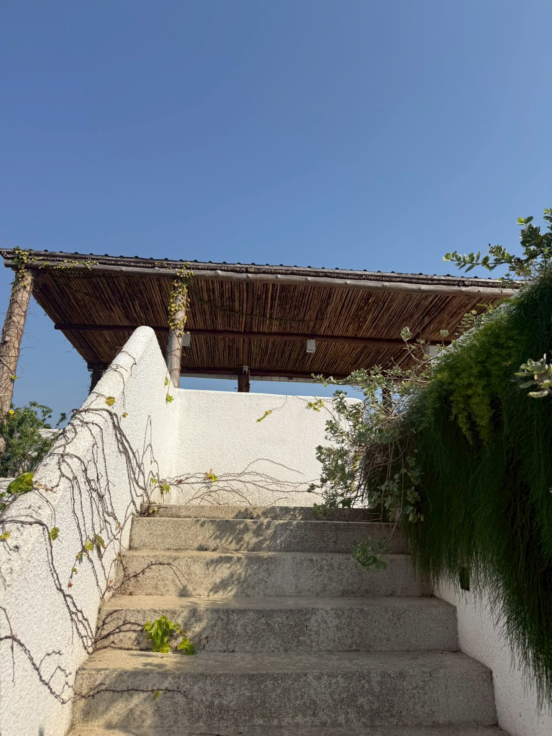 Stairway to the rooftop terrace