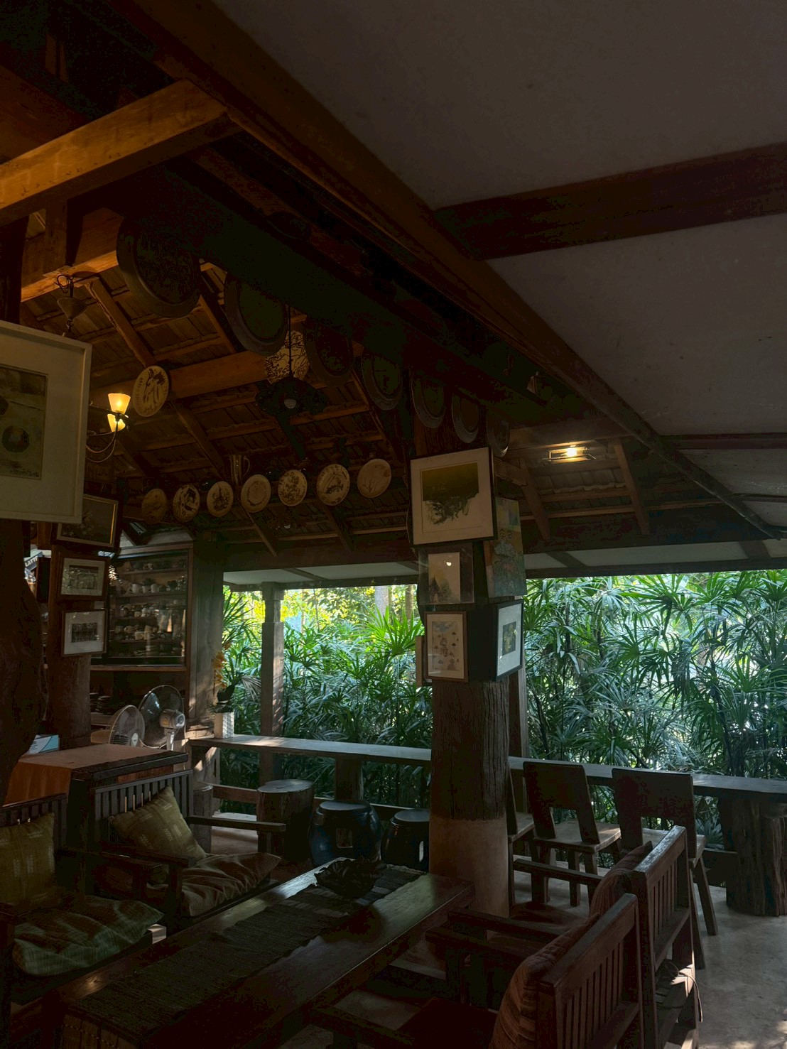 The café seating area surrounded by jungle
