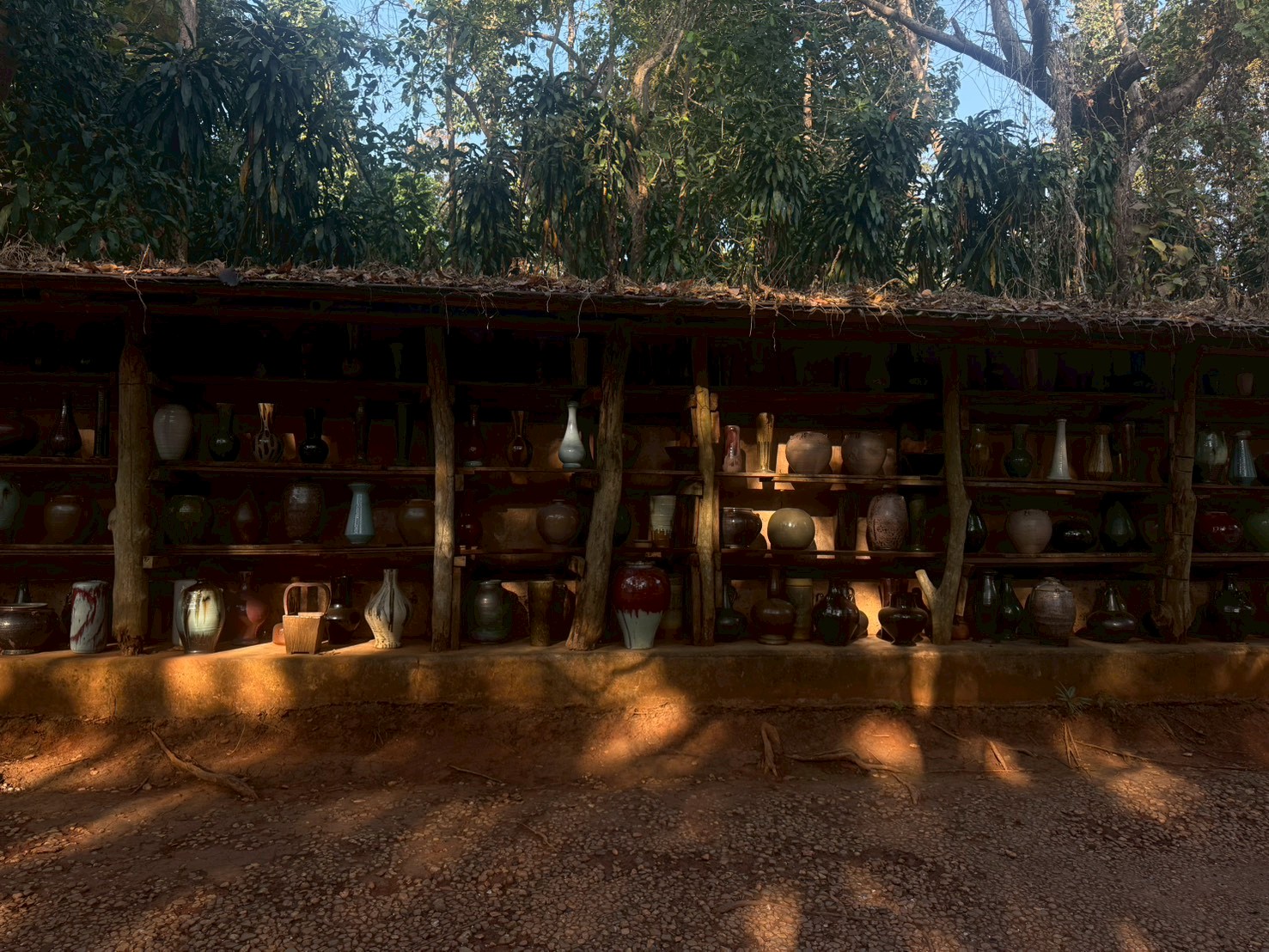 Shelves of ceramics in dappled forest light
